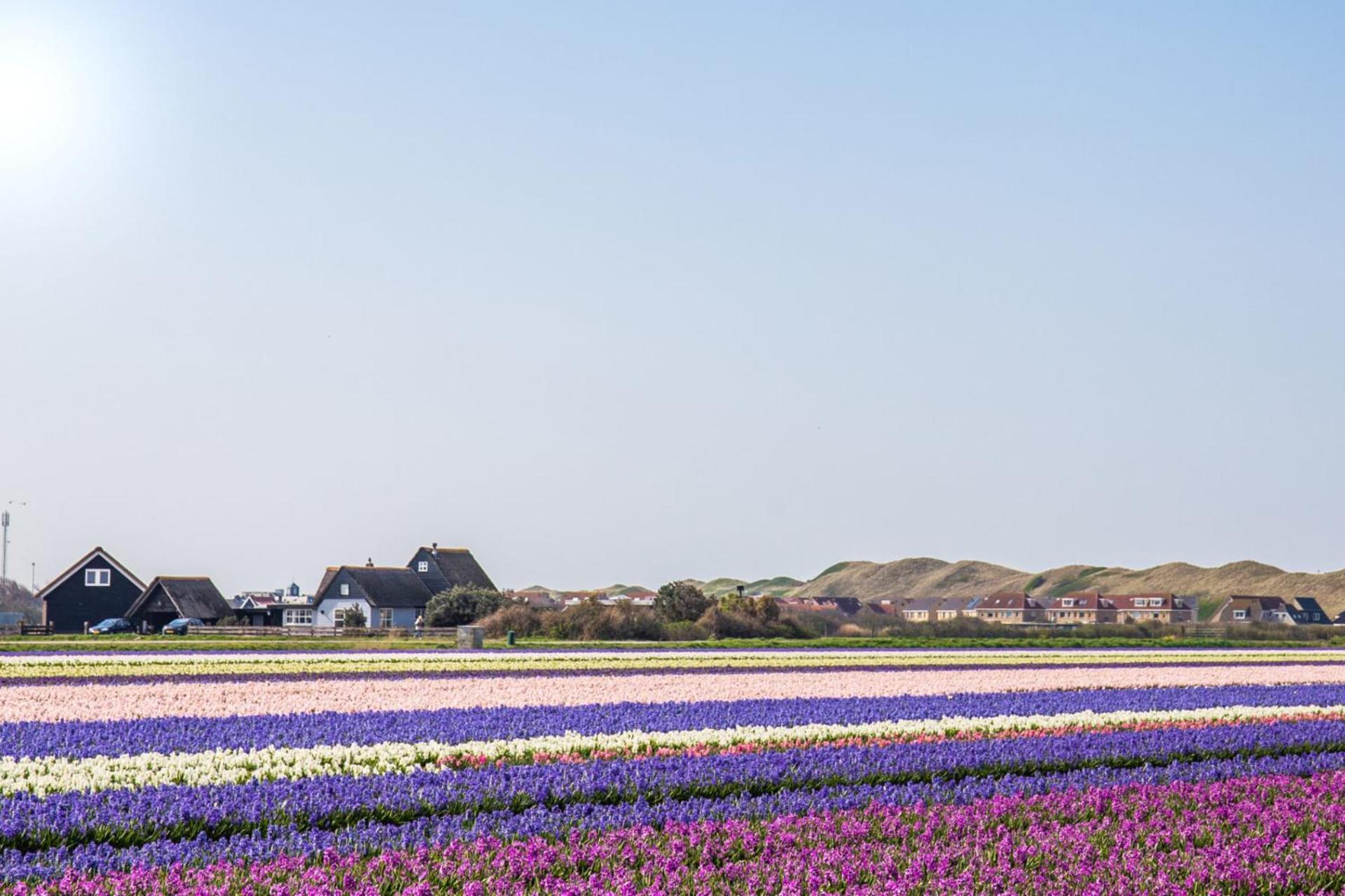 Beach Appartement 17 - Aan De Duinen, Callantsoog Aan Zee מראה חיצוני תמונה